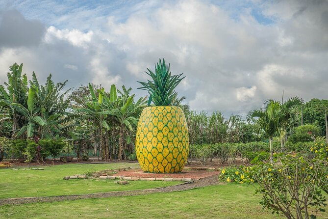 the-dole-plantation-north-shore-private-limousine-vip-tour