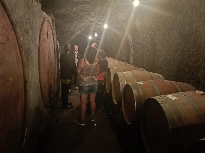 the-dying-city-civita-bagnoregio-w-wine-tasting-from-port