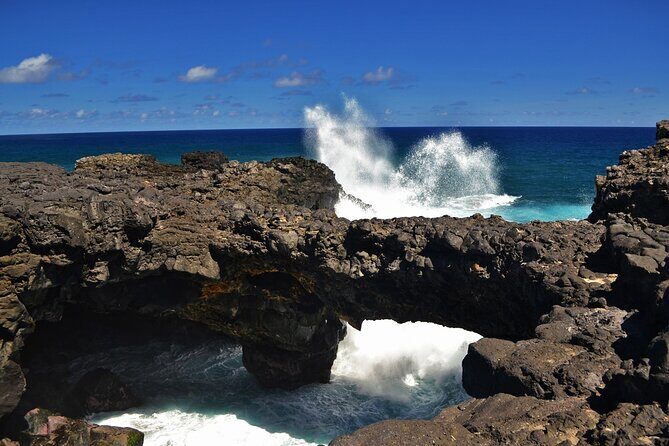 The East of Mauritius: Full-day incl visit to Ile aux Aigrettes & Lunch - The Sum Up