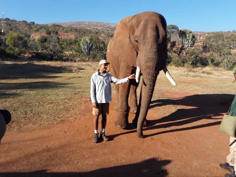 The Elephant and Monkey Sanctuary. - Key Points