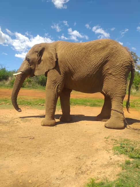 The Elephant and Monkey Sanctuary. - Final Thoughts