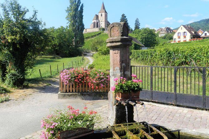 The Emblematic: visit of villages, Haut-Koenigsbourg, Wine tasting - Final Thoughts