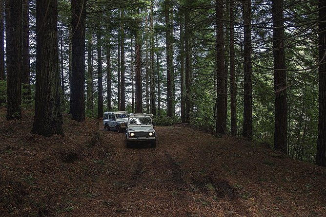 the-enchanting-north-jeep-safari-tour-full-day-2