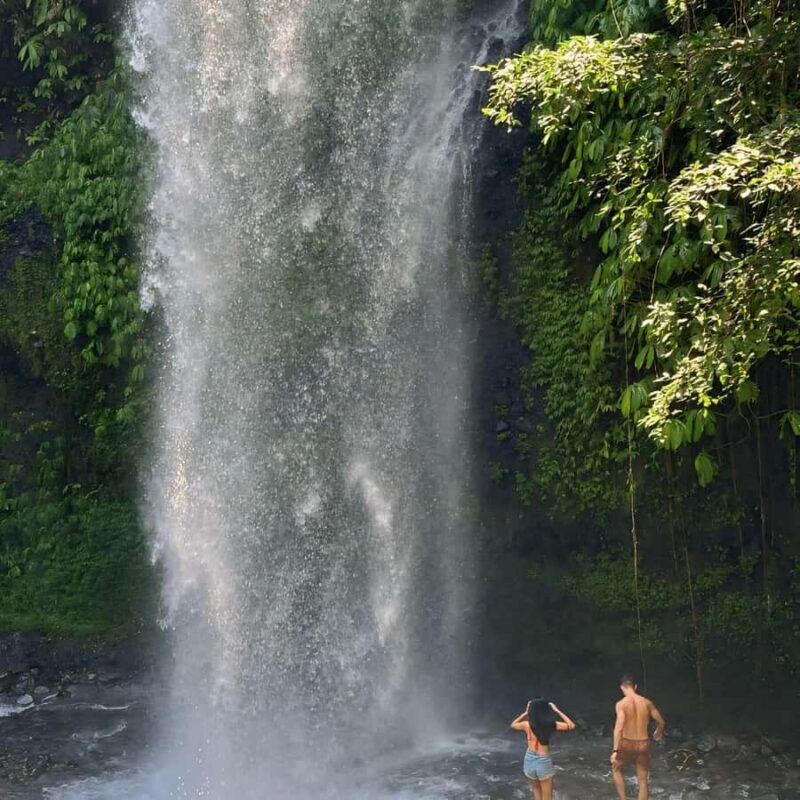 The Enchanting Sendang Gila and Tiu Kelep Waterfall - Why Choose This Tour?