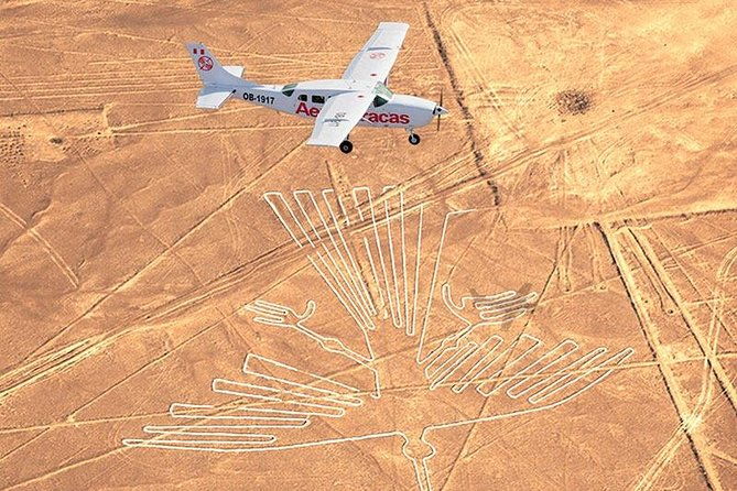 the-enigmatic-nazca-lines-huacachina-oasis-private-trip