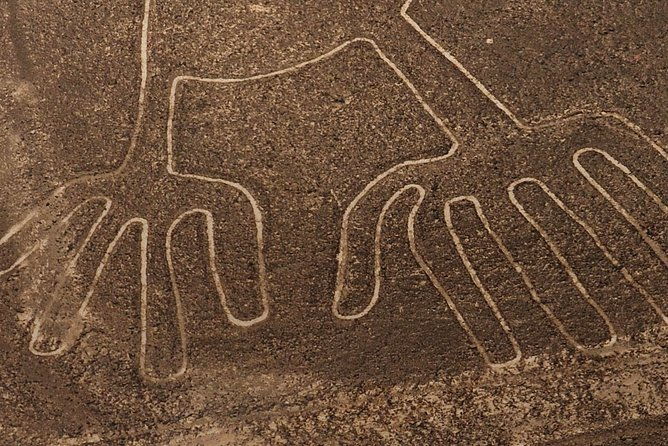 the-enigmatic-nazca-lines-huacachina-oasis-private-trip