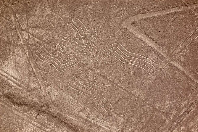 the-enigmatic-nazca-lines-huacachina-oasis-private-trip