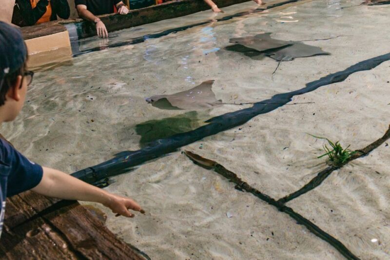 The Florida Aquarium Ticket - Final Thoughts