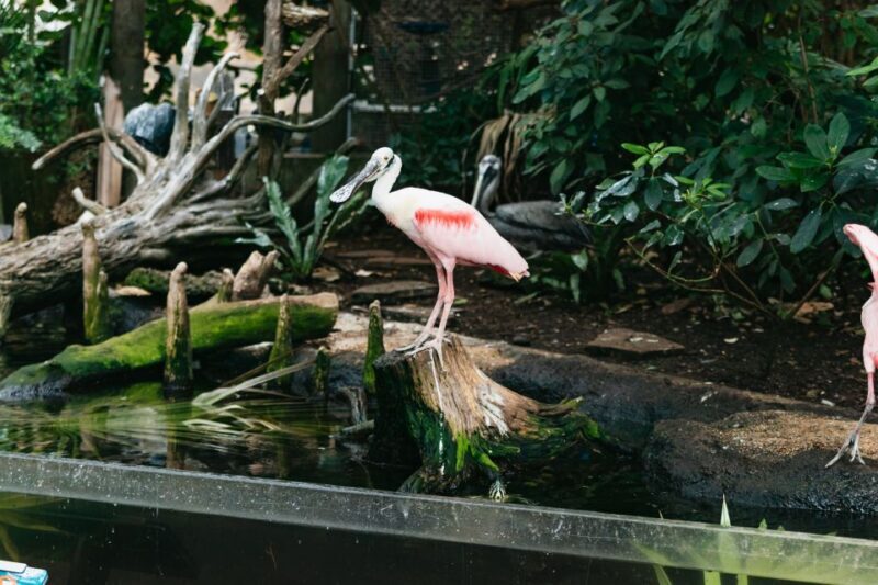 The Florida Aquarium Ticket - FAQs