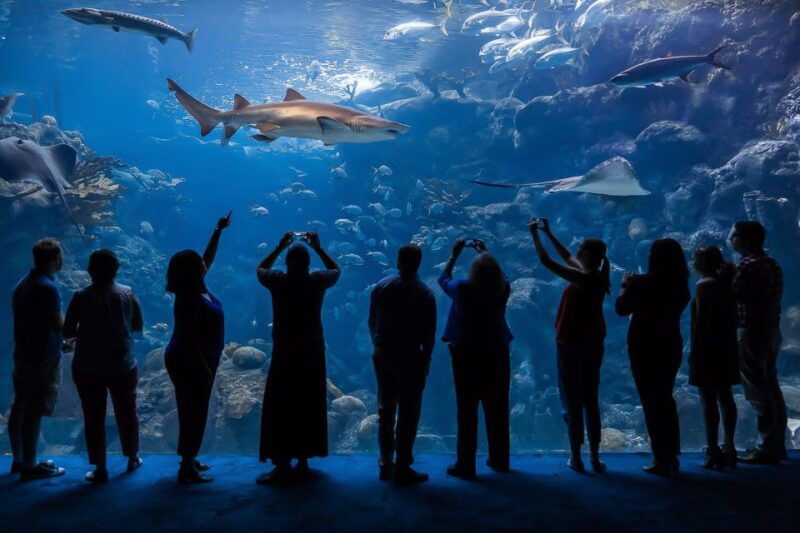 the-florida-aquarium-ticket