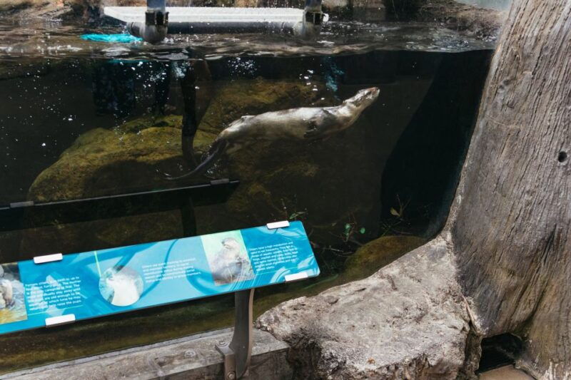 the-florida-aquarium-ticket
