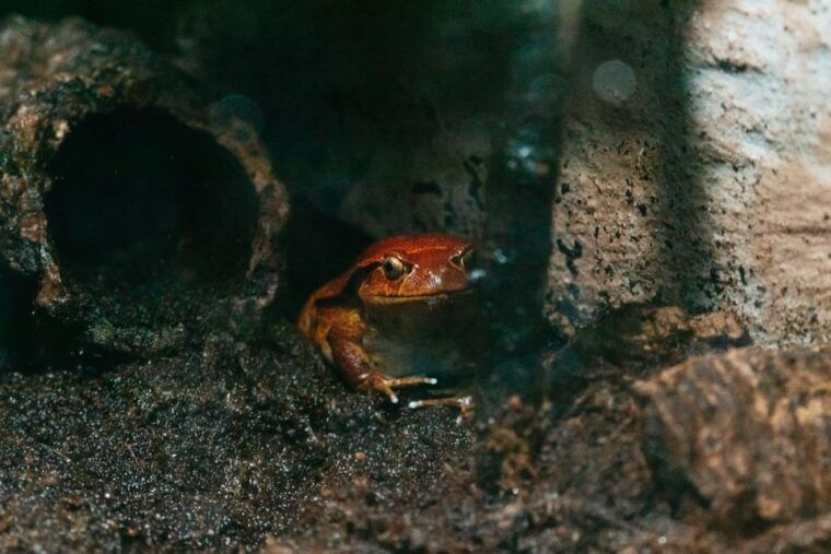 the-florida-aquarium-ticket