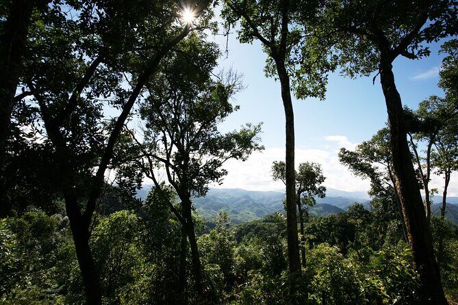 The Forbidden Trail: 4 Days of Exclusive Jungle & Secret Villages - The Sum Up