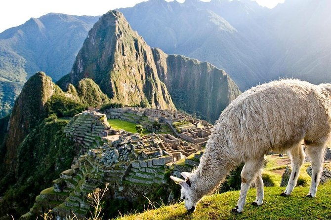 the-formidable-lares-trek-4-days-to-machu-picchu