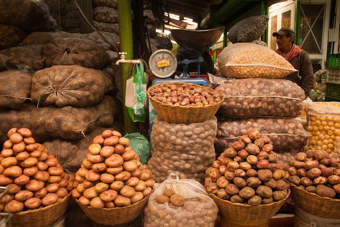 the-fruit-tour-best-food-market-in-bogota