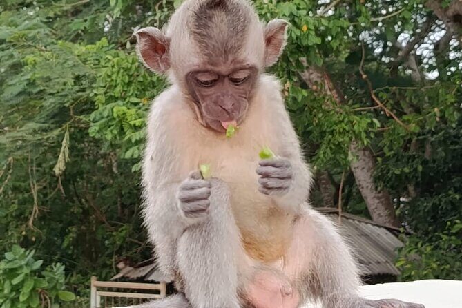 The GAD Uluwatu Tour - An In-Depth Look at the GAD Uluwatu Tour