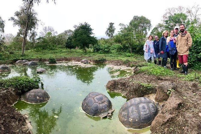 the-galapagos-giant-tortoise-experience-los-gemelos-shared