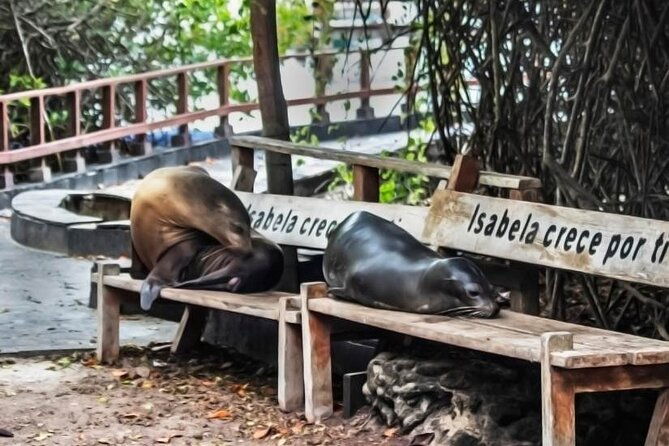 the-galapagos-penguin-route-7-day-tour