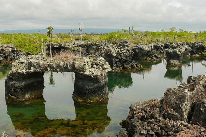 the-galapagos-penguin-route-7-day-tour