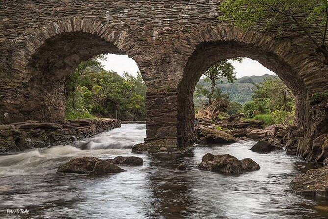 The Gap of Dunloe - Day Trip (One Way Only) - The Experience and Guide Quality