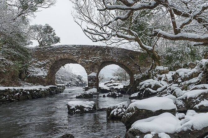The Gap of Dunloe - Day Trip (One Way Only) - Practical Details