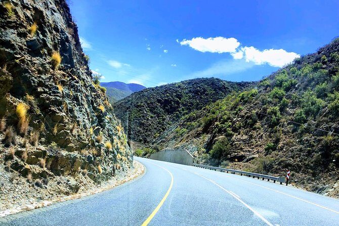 The Garden Route 7-Day Tour - Plettenberg Bay: Wildlife and Adventure