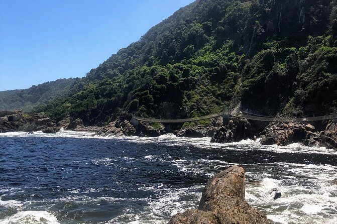 The Garden Route 7-Day Tour - Tsitsikamma Forest: Gorges, Trails, and Bungee Jumping