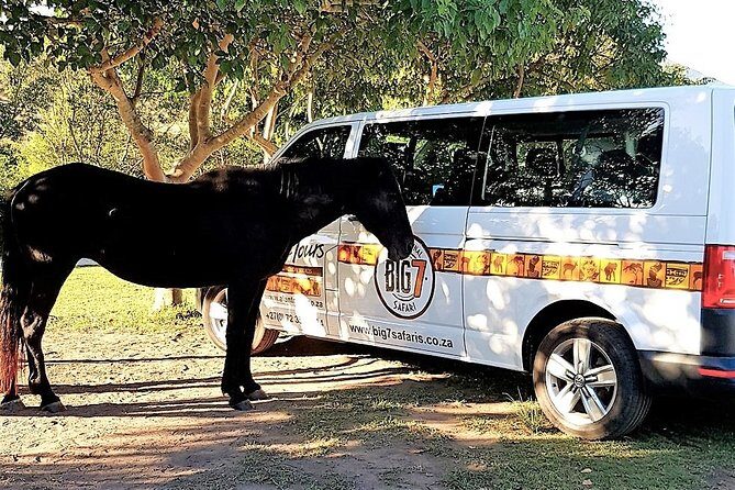 The Garden Route from Port Elizabeth to The Crags - FD07 - Who Is This Tour Best For?