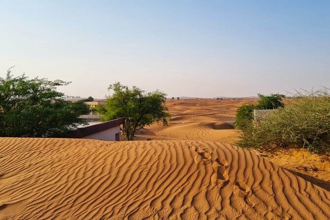 The Ghost Village Safari with Bedouin Camp and Barbeque Dinner - An In-Depth Look at the Tour Experience