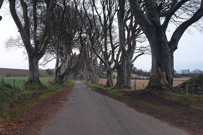 The Giant's Causeway, Dunluce Castel and Belfast - Spanish guide - Who Should Book This Tour?