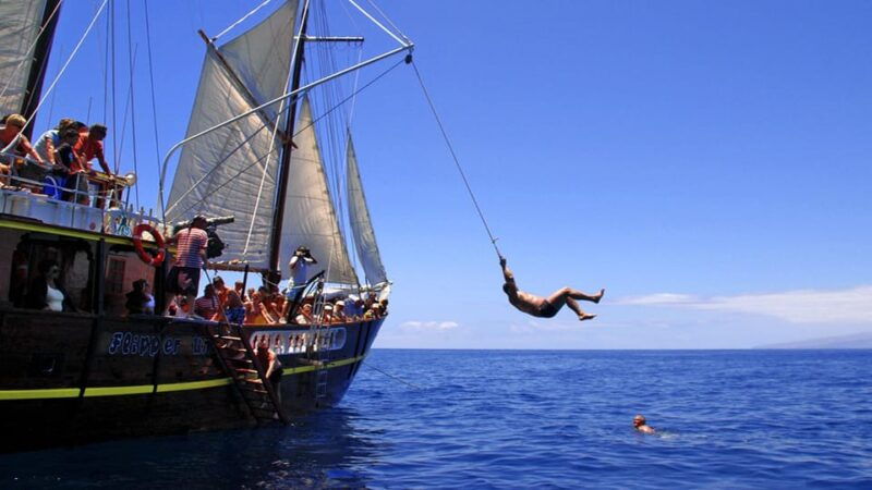 the-giants-dolphin-and-whale-watching-tour-with-drinks