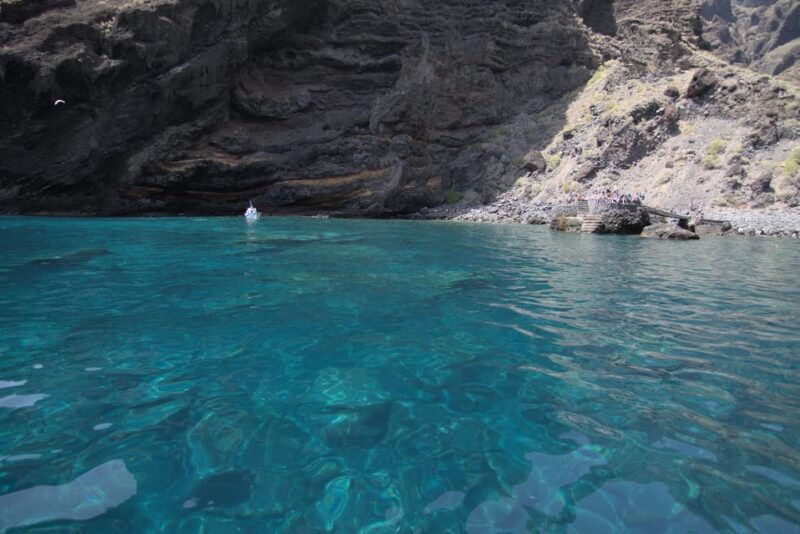 the-giants-whale-watching-cruise-or-dolphin-watching-tour-and-swim-in-masca
