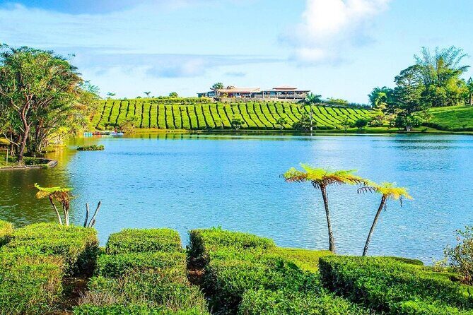 The Gorgeous East: Bois Cheri Tea factory, Rhumerie St-Aubin, Mahebourg & Lunch - An In-Depth Look at the Tour