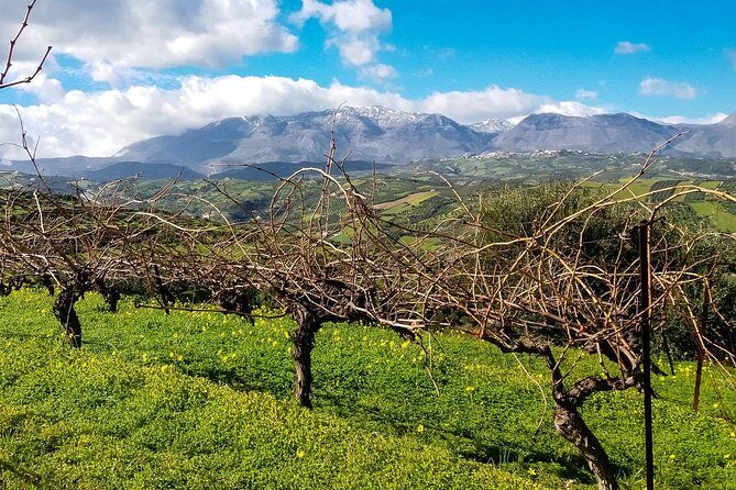 The Gourmet Wine Tour of Heraklion area - Final Thoughts