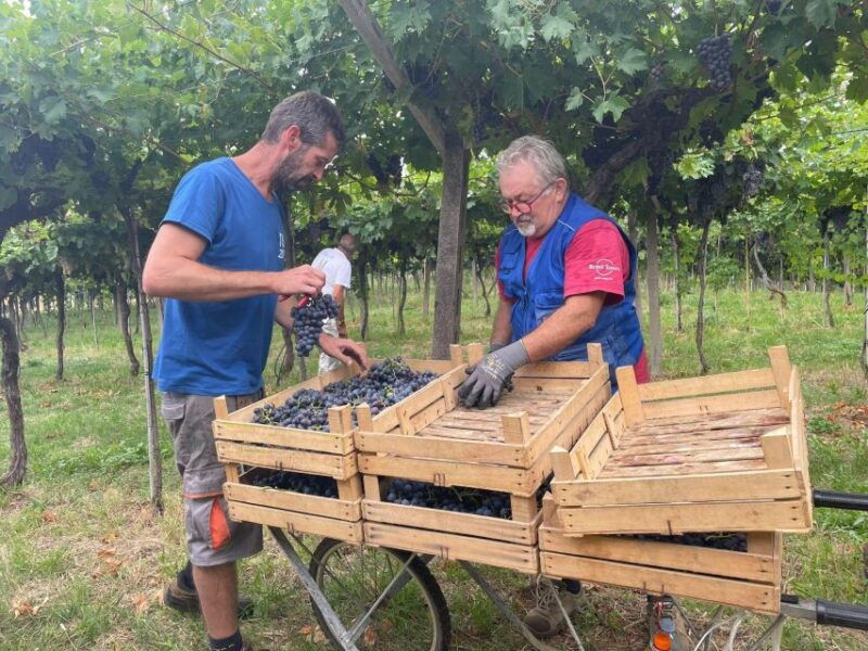 the-grand-tour-of-amarone-2-wineries-with-delicious-lunch