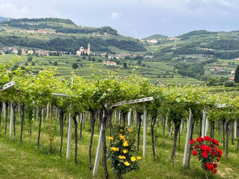 the-grand-tour-of-amarone-2-wineries-with-delicious-lunch