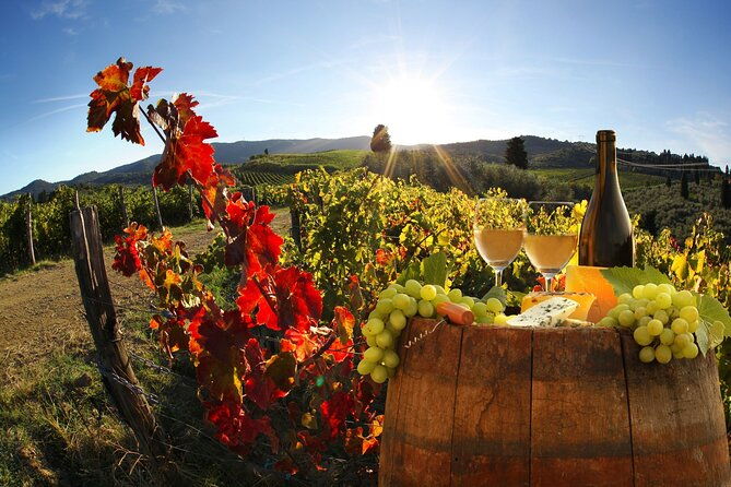 the-grand-wine-tour-with-sommelier-2-wineries-with-chianti-supertuscan-2
