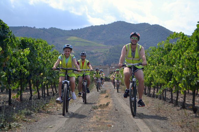 The Grape Escape! Cycling in Beautiful Scenery with Wine Tasting - The Details of the Experience