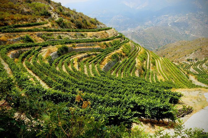 The Grape Escape: Troodos Mountains thru Wine Small Group Tour 6hrs - Final Thoughts