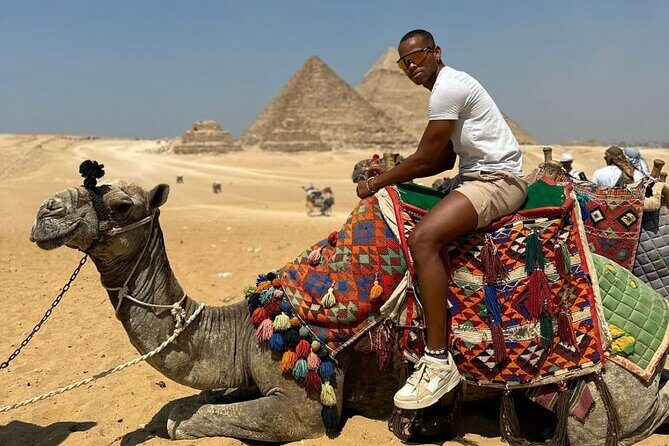 The Great Egyptian Museum and Giza Pyramids and Sphinx - Why This Tour Offers Great Value