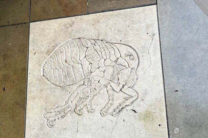 the-great-plague-black-death-tour-of-london