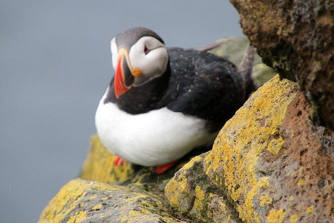 the-great-round-tour-around-iceland-in-13-days