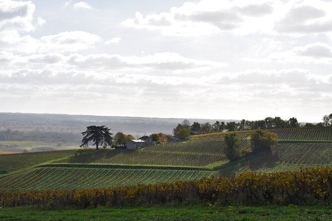 the-great-sauternes-wine-tour