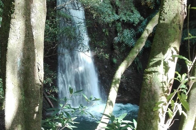 the-great-waterfalls-hiking-tour