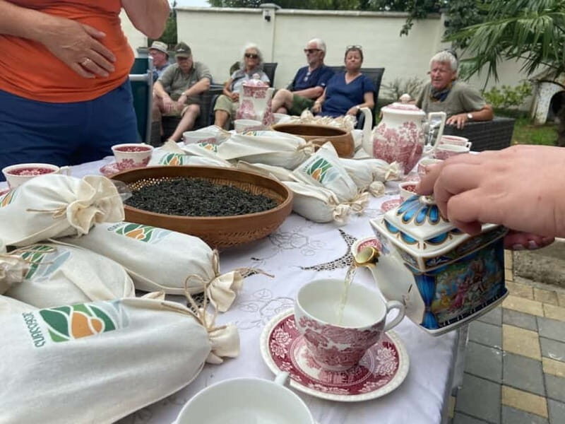 The Green Gold of Georgia - Exploring Georgia’s Tea Heritage: A Detailed Look