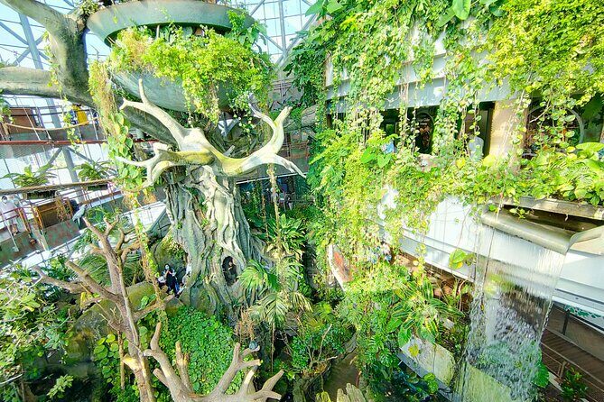 The Green Planet Dubai with Options - What is the Green Planet Dubai?