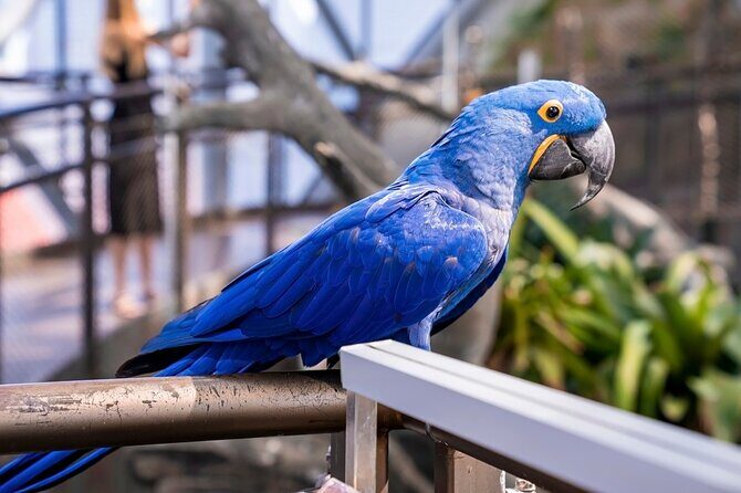 The Green Planet Dubai with Options - Who Should Consider Visiting?