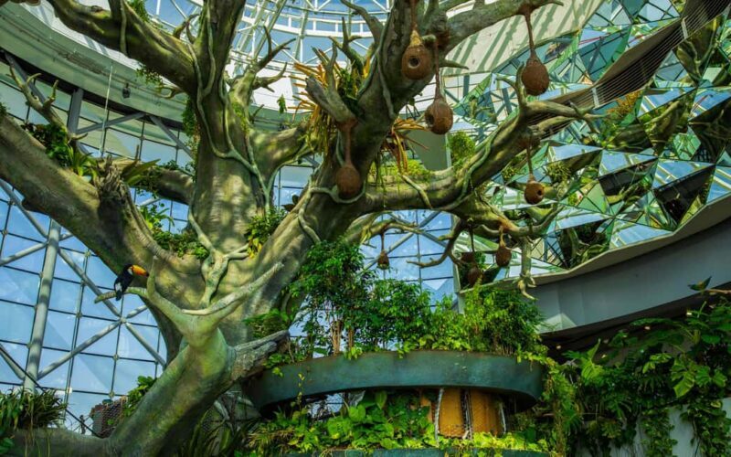 The Green Planet - Dubai's Unique Indoor Rainforest - Key Points