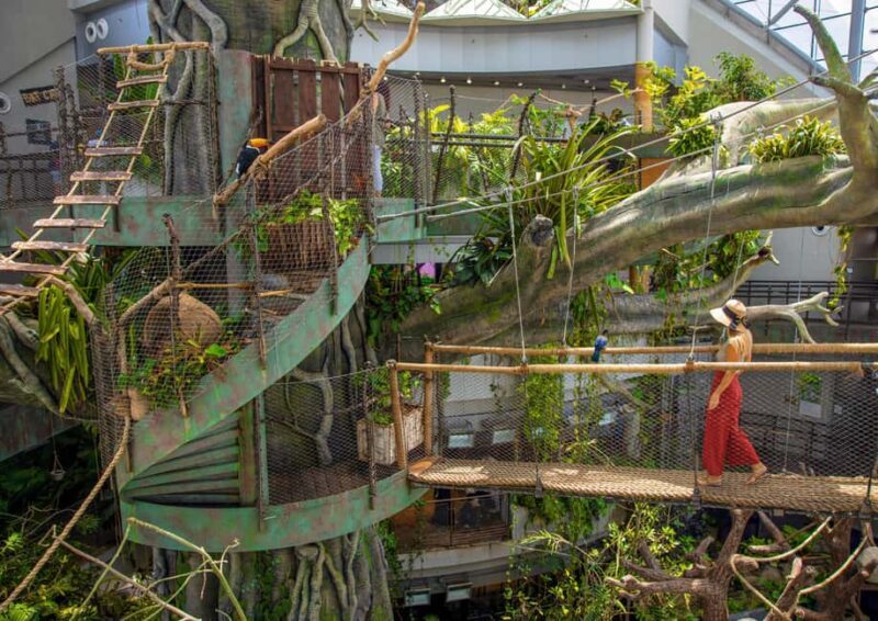 The Green Planet - Dubai's Unique Indoor Rainforest - What to Expect at The Green Planet