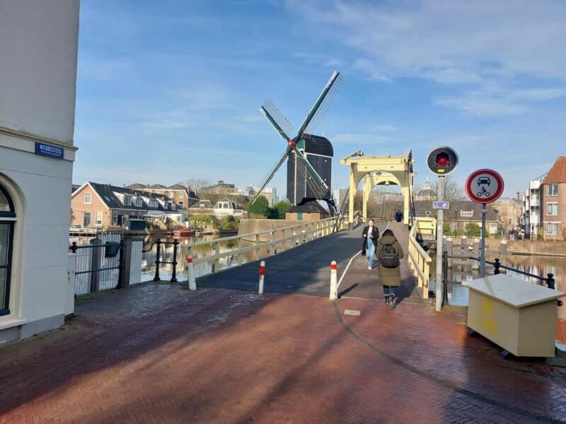 The Hague and Leiden: Private Tour with Local Guide - Who Will Benefit Most From This Tour?